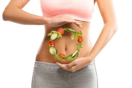 Synogut-healthy-digestion-efficient
